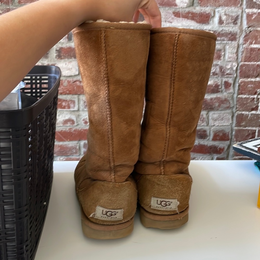 Tall uggs